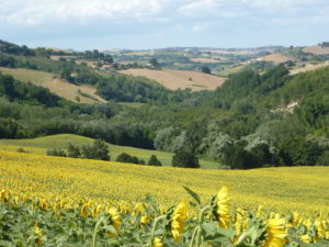 Landschap rond Montottone | Vakantiewoning Casa Cipresse